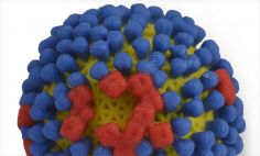 3D print of influenza virus. The virus surface (yellow) is covered with proteins called hemagglutinin (blue) and neuraminidase (red) that enable the virus to enter and infect human cells.