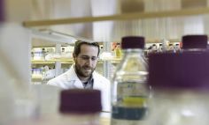 Jason S. McLellan, Ph.D., associate professor of molecular biosciences, in the McLellan Lab at The University of Texas-Austin.