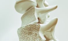 Osteoporosis can develop if your bone mass decreases or the structure of your bones changes, making the bones weaker and more likely to break. 