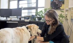 Marguerite E. O’Haire, Ph.D., is studying how service dogs can help veterans.