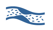 cholesterol illustration